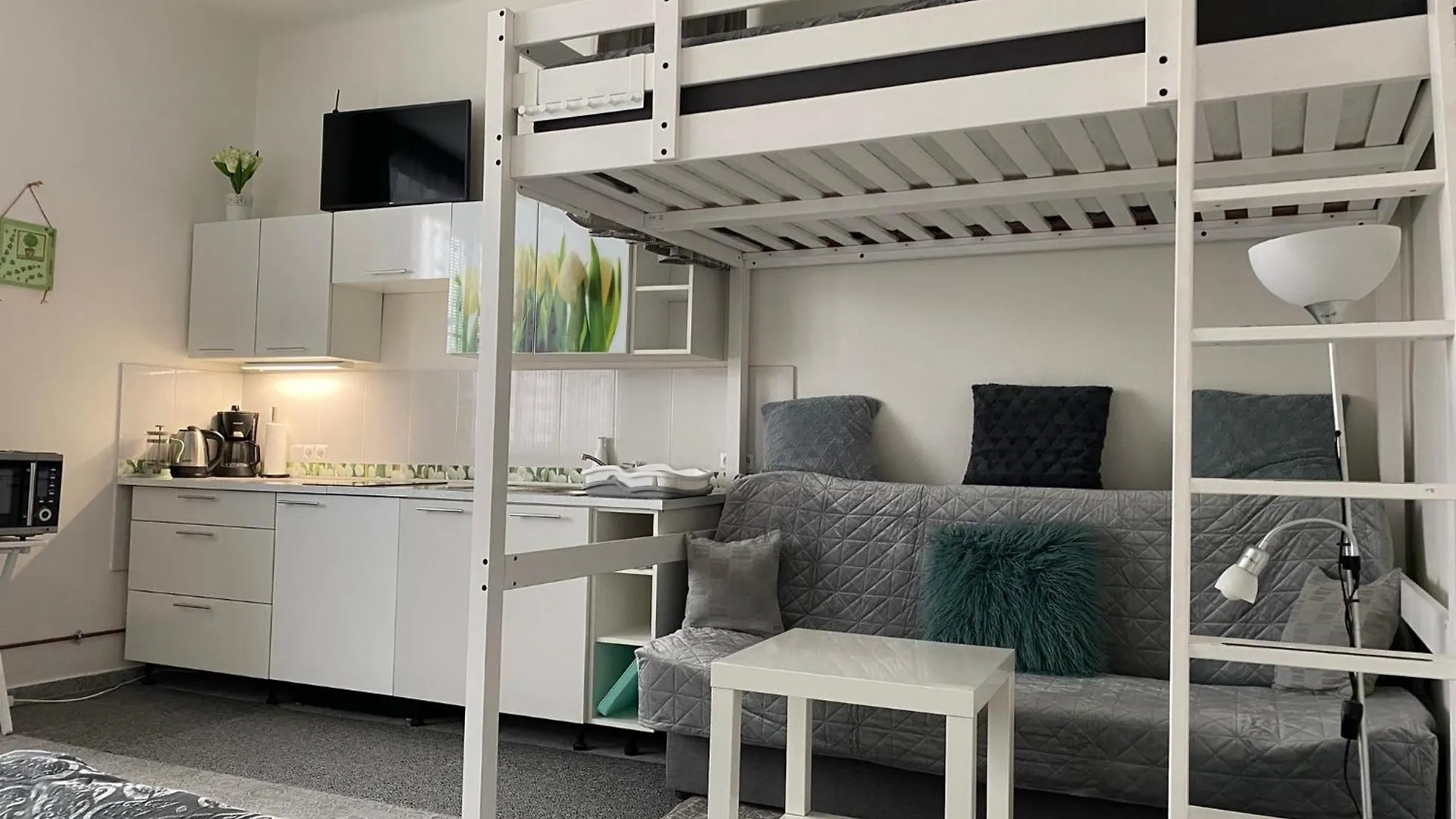 Homestay Tulip Apartment Prague