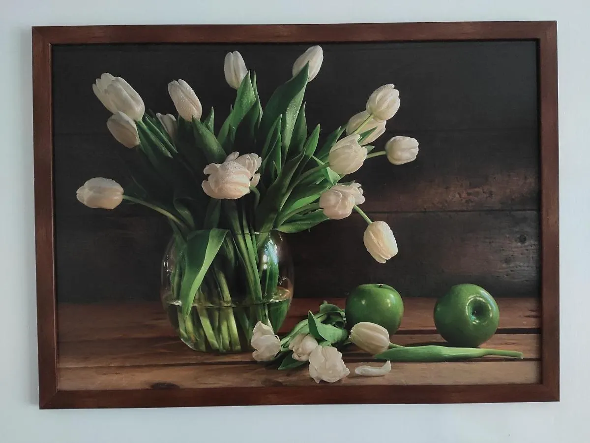 Tulip Apartment Прага Проживание в семье