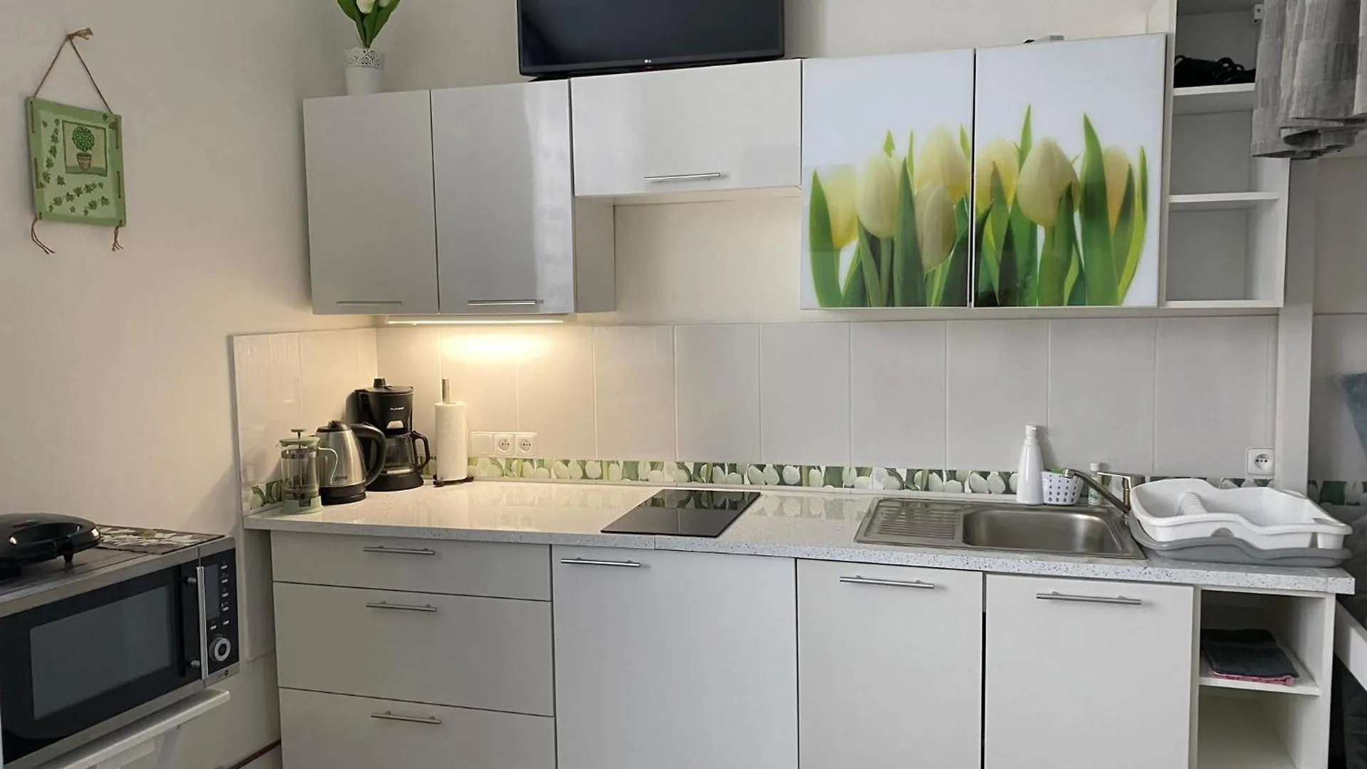 Tulip Apartment Praha 0*,  Česká republika