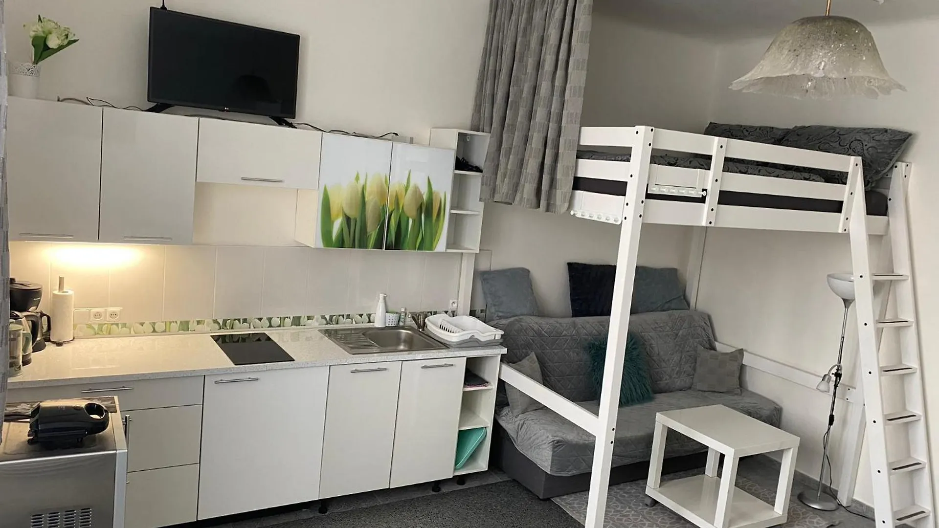Ubytování v soukromí Tulip Apartment Praha